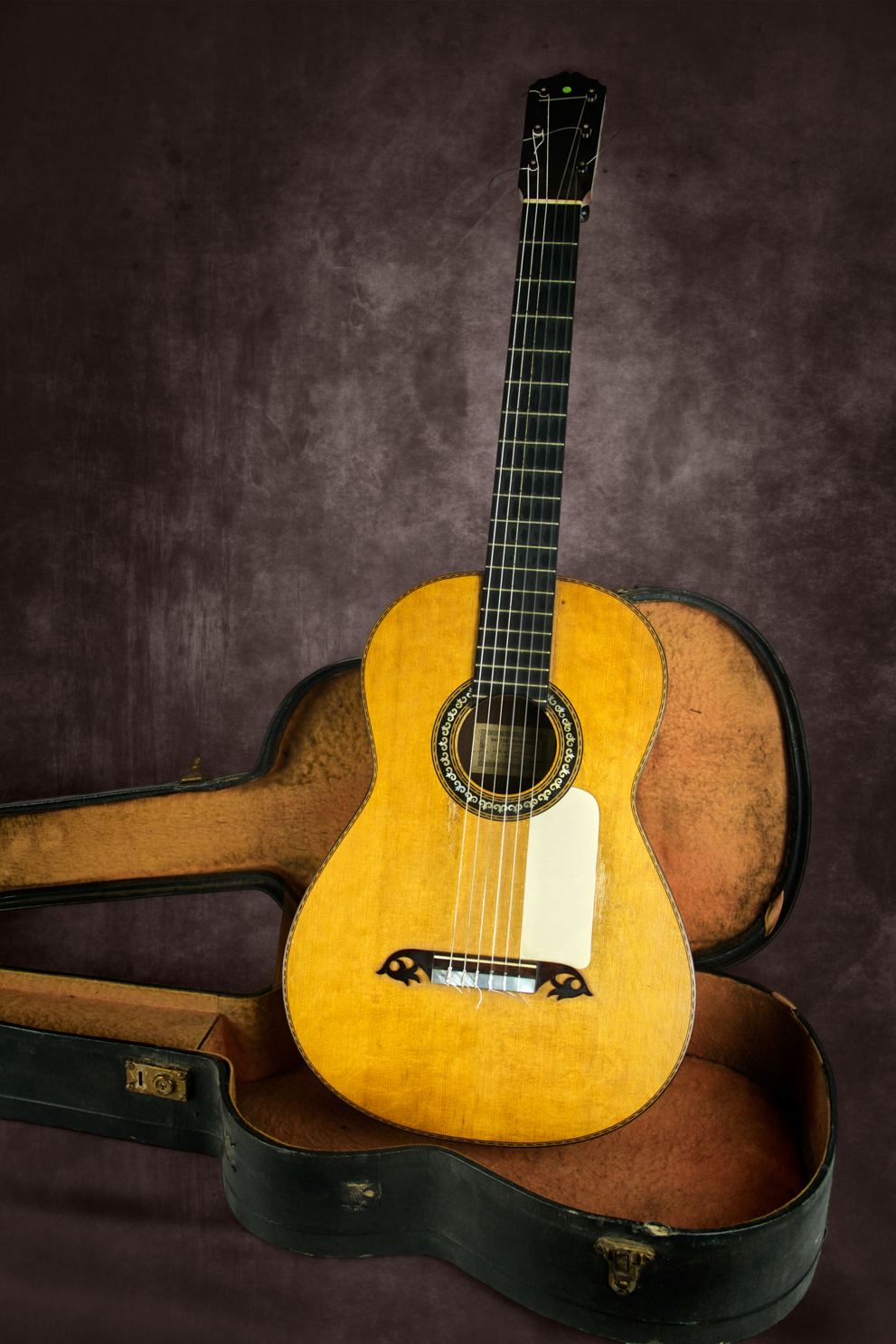 A selection of the finest guitars made by the finest Spanish craftsmen, selected with the utmost attention and care.